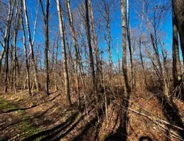 Aste giudiziarie immobiliari online - 7.0