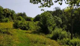 Aste giudiziarie immobiliari online - 9.0