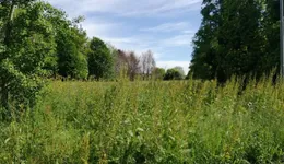 Aste giudiziarie immobiliari online - 7.0