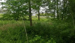 Aste giudiziarie immobiliari online - 8.0