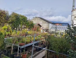 Aste giudiziarie immobiliari online - 6.0