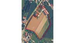 Aste giudiziarie immobiliari online - 11.0