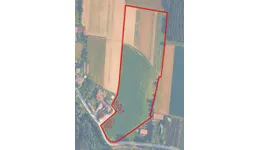 Aste giudiziarie immobiliari online - 5.0