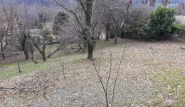 Aste giudiziarie immobiliari online - 3.0
