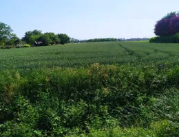 Aste giudiziarie immobiliari online - 5.0