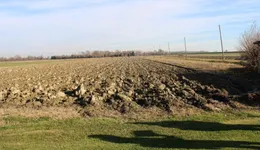 Aste giudiziarie immobiliari online - 6.0