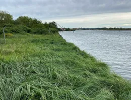 Aste giudiziarie immobiliari online - 11.0