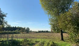 Aste giudiziarie immobiliari online - 2.0