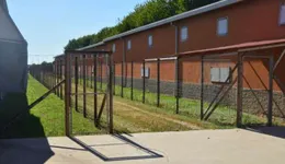 Aste giudiziarie immobiliari online - 6.0