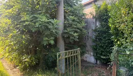 Aste giudiziarie immobiliari online - 10.0