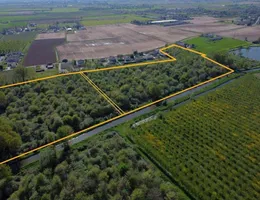 Aste giudiziarie immobiliari online - 12.0