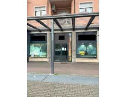 Aste giudiziarie immobiliari online - 12.0