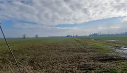 Aste giudiziarie immobiliari online - 4.0