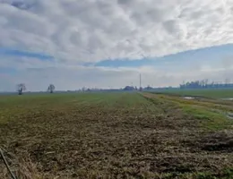 Aste giudiziarie immobiliari online - 4.0