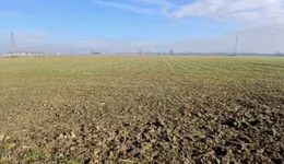 Aste giudiziarie immobiliari online - 6.0