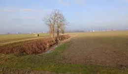 Aste giudiziarie immobiliari online - 7.0