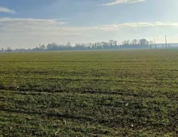 Aste giudiziarie immobiliari online - 8.0