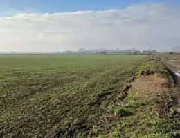 Aste giudiziarie immobiliari online - 9.0