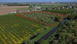 Aste giudiziarie immobiliari online - 2.0