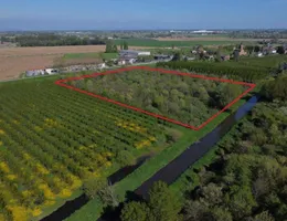 Aste giudiziarie immobiliari online - 1.0