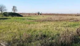 Aste giudiziarie immobiliari online - 12.0