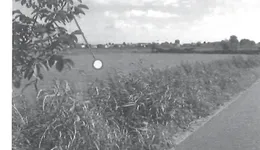 Aste giudiziarie immobiliari online - 7.0