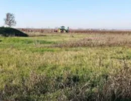 Aste giudiziarie immobiliari online - 4.0