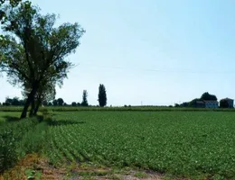 Aste giudiziarie immobiliari online - 12.0