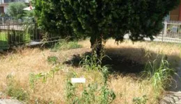 Aste giudiziarie immobiliari online - 2.0