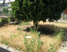 Aste giudiziarie immobiliari online - 6.0