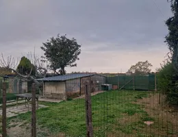 Aste giudiziarie immobiliari online - 7.0