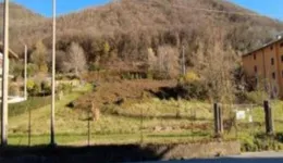 Aste giudiziarie immobiliari online - 12.0