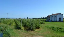 Aste giudiziarie immobiliari online - 4.0