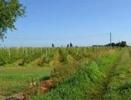 Aste giudiziarie immobiliari online - 4.0