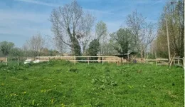 Aste giudiziarie immobiliari online - 4.0