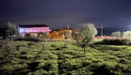 Aste giudiziarie immobiliari online - 12.0