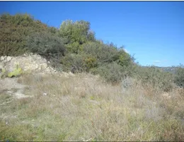 Aste giudiziarie immobiliari online - 5.0