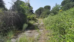 Aste giudiziarie immobiliari online - 6.0