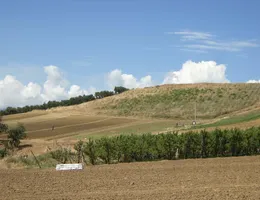 Aste giudiziarie immobiliari online - 2.0