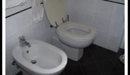 Aste giudiziarie immobiliari online - 11.0