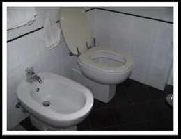 Aste giudiziarie immobiliari online - 11.0