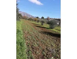 Aste giudiziarie immobiliari online - 3.0