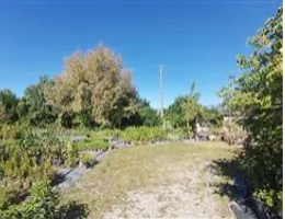 Aste giudiziarie immobiliari online - 5.0