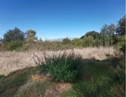 Aste giudiziarie immobiliari online - 5.0