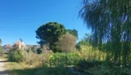 Aste giudiziarie immobiliari online - 3.0