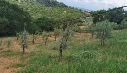 Aste giudiziarie immobiliari online - 8.0