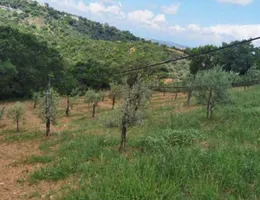 Aste giudiziarie immobiliari online - 11.0