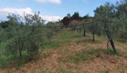 Aste giudiziarie immobiliari online - 12.0