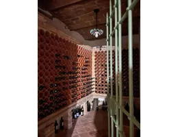 Aste giudiziarie immobiliari online - 4.0