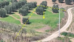 Aste giudiziarie immobiliari online - 6.0